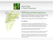 Tablet Screenshot of cespyro.com